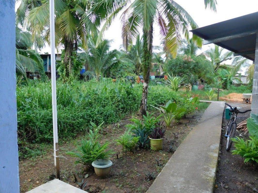 Valerie Emanuel Apartments Bocas Town Bagian luar foto